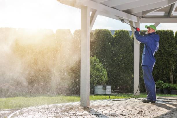 Best Gutter Cleaning  in Lamar, SC