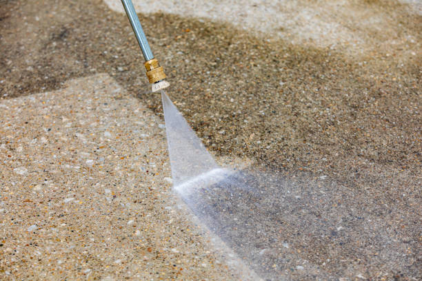 Best Soft Washing  in Lamar, SC